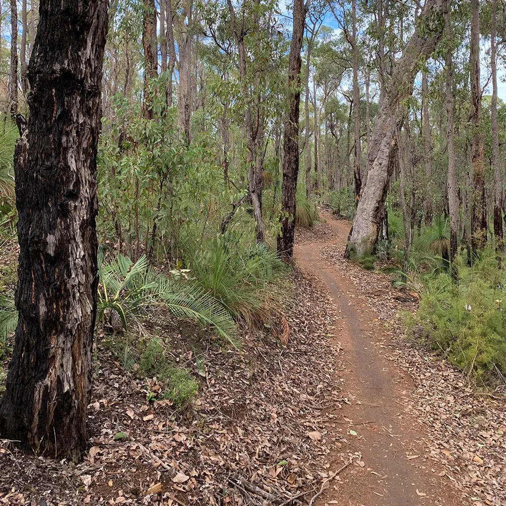 Munda Biddi Trail Map 2 - Dandalup Campsite to Harvey-Quindanning Road